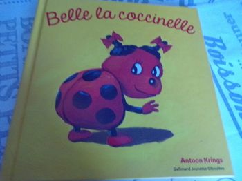 Livre Belle la coccinelle Antoon Krings Gallimard