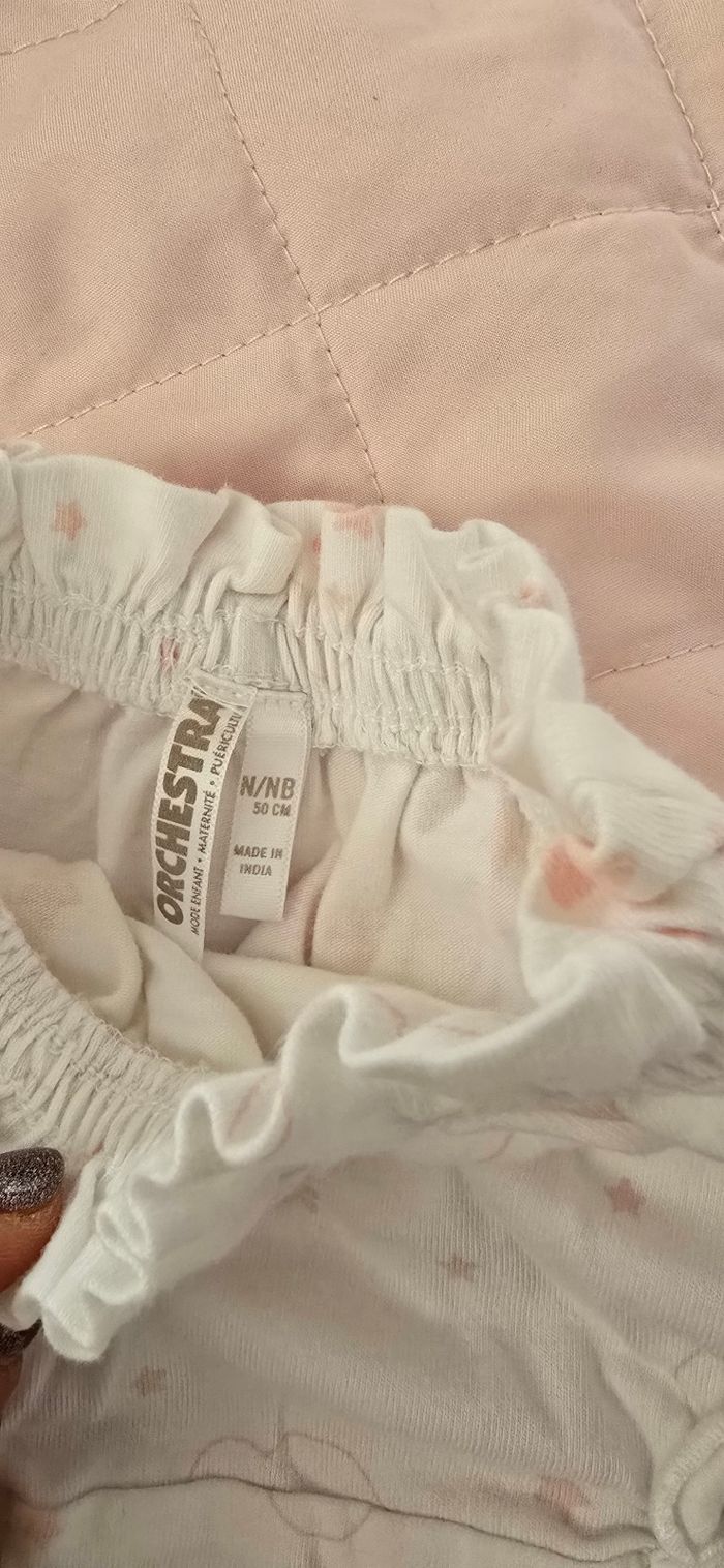 Shorty - photo numéro 3