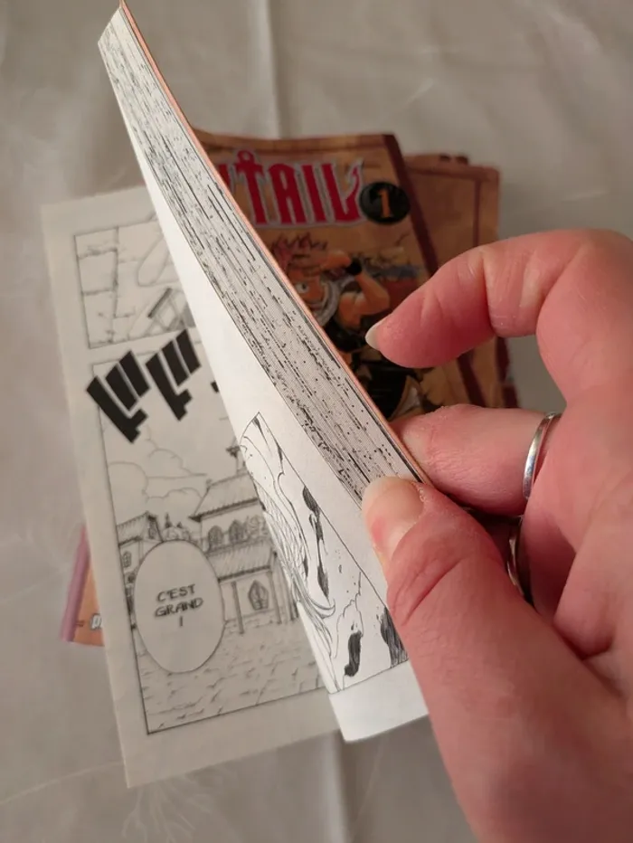 Manga Fairy Tail tome 1 - photo numéro 3