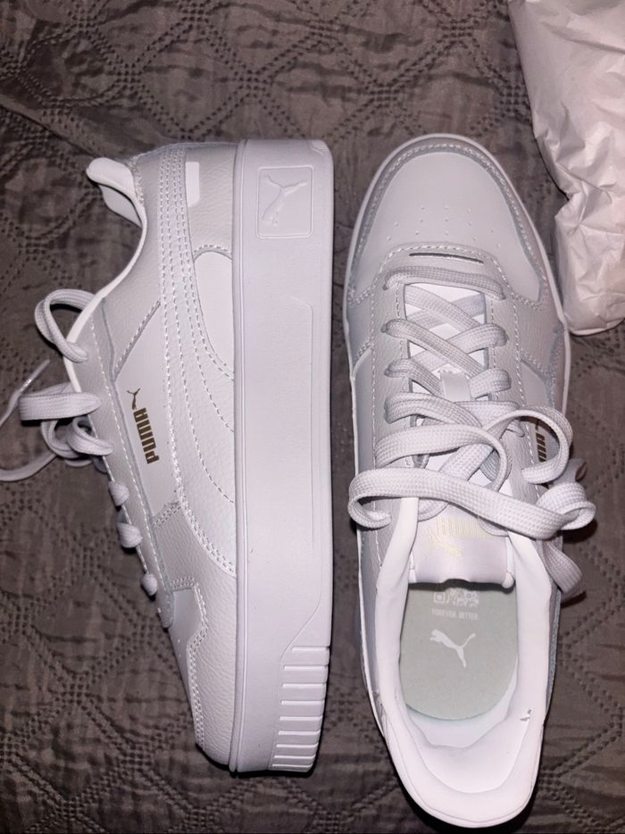 Puma Carina - photo numéro 3