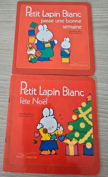 2 livres petit lapin blanc