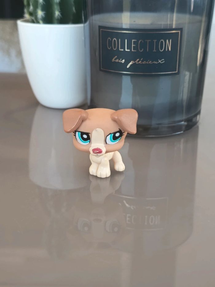 Littlest Pet Shop #1302 beige and tan jack Russell dog