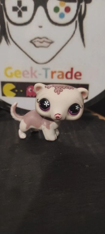 My Littlest Petshop Pet Shop LPS hasbro Ferret Furet 749