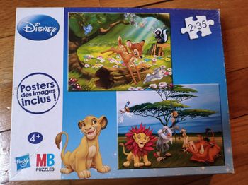 Boîte de deux puzzles 