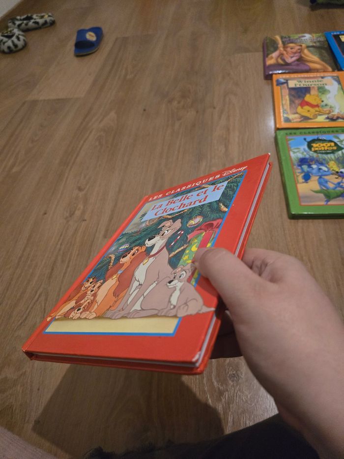 Livre disney - photo numéro 2
