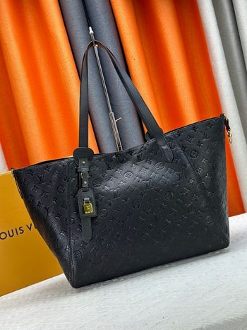 Louis Vuitton  ALL IN ONE MM  m25860