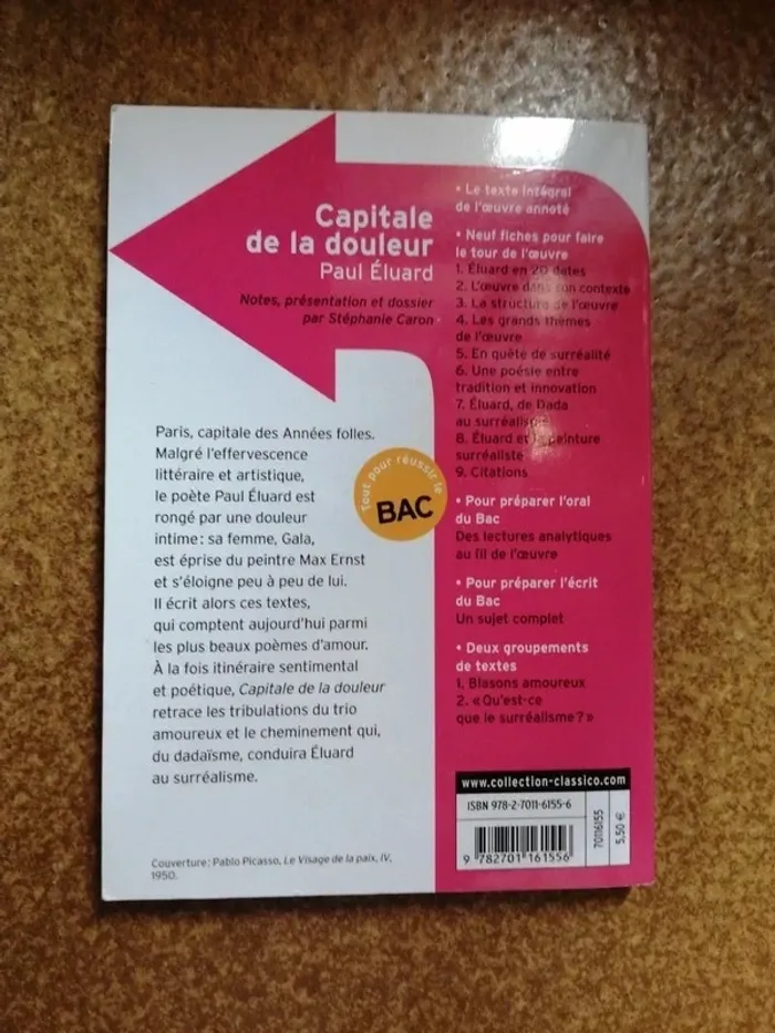 Capitale de la douleur - photo numéro 2