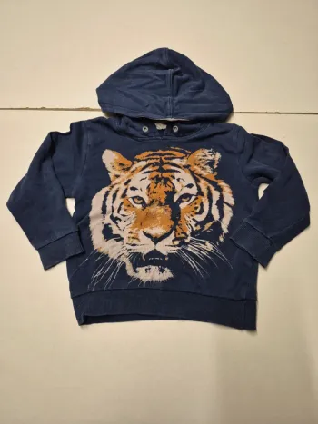 Pull marine tigre