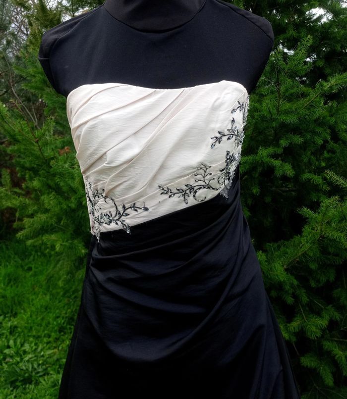 robe chic taille 38/40 - photo numéro 3