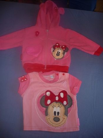 Ensemble minnie veste et tee shirt acheter chez disneyland paris taille 6 mois