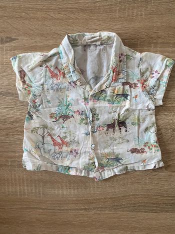 Chemise Arsène et les pipelettes