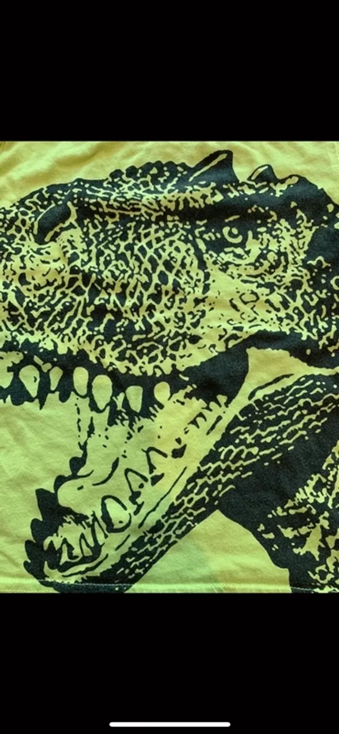 T-shirt dinosaure 🦖 taille 5 ans - photo numéro 2