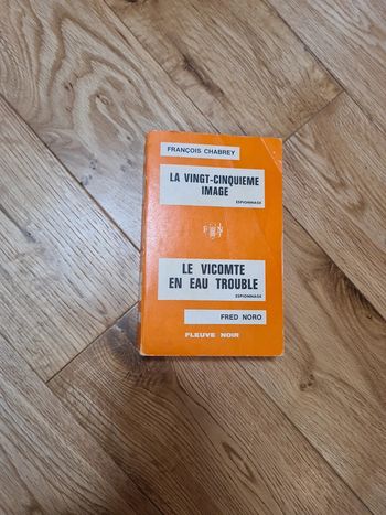 La vingt-cinquième image / le vicomte en eau trouble