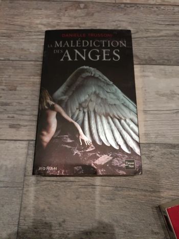 La malédiction des anges