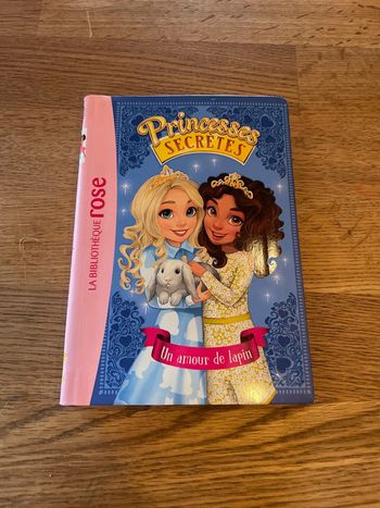Livre La bibliothèque Rose Numéro 8 Princesse Secrètes Un amour de lapin