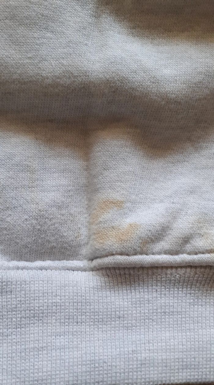 Sweat à capuche gris très clair. 11/12 ans. Champion. - photo numéro 3