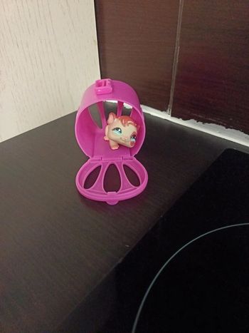 Littlest pet shop