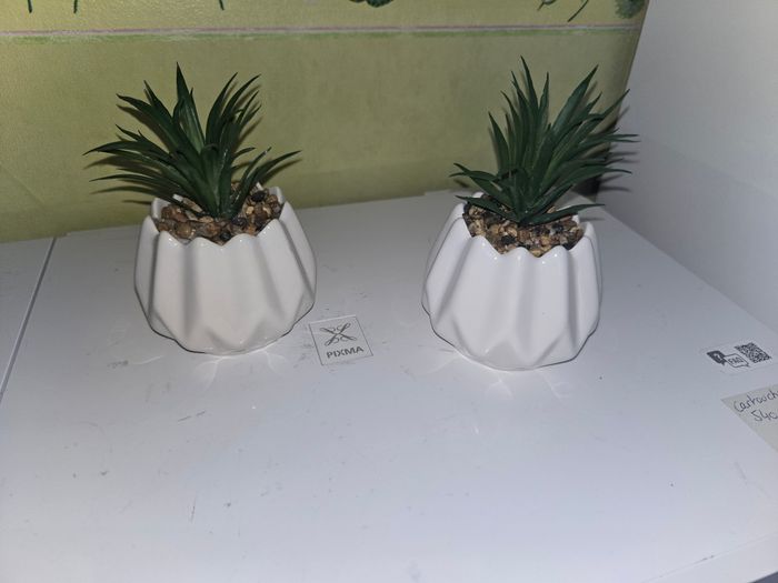 Decoration