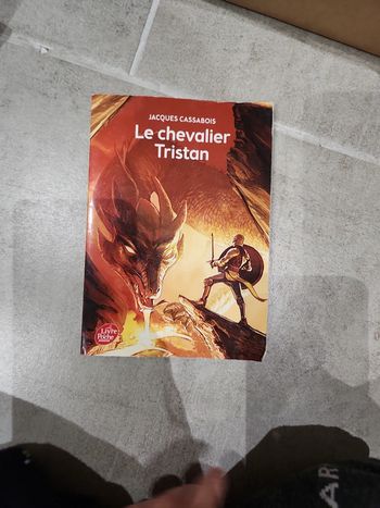 Livre : Le chevalier Tristan