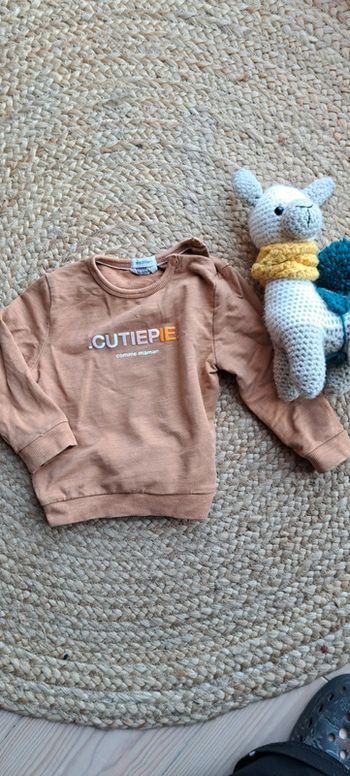 Petit pull taille 74-80