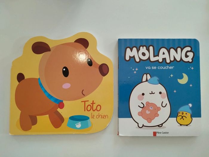 Livres 1er âge Molang et Toto le chien
