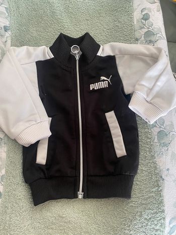 Veste puma