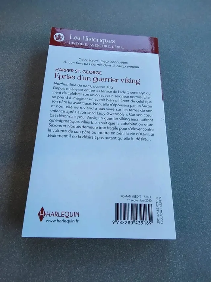 Livre Éprise d'un guerrier viking - photo numéro 2
