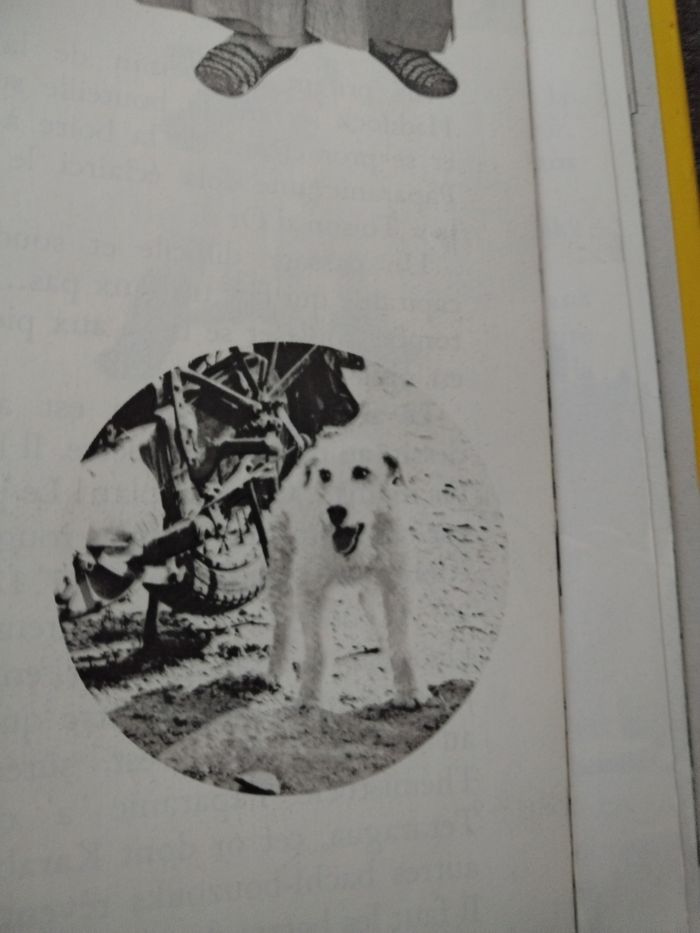 BD ancienne Un album-film "Les aventures de Tintin au cinéma" - photo numéro 7