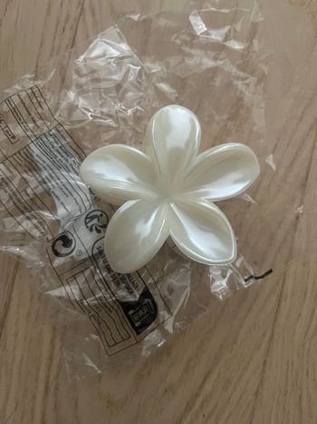 Pince pour cheveux crème 