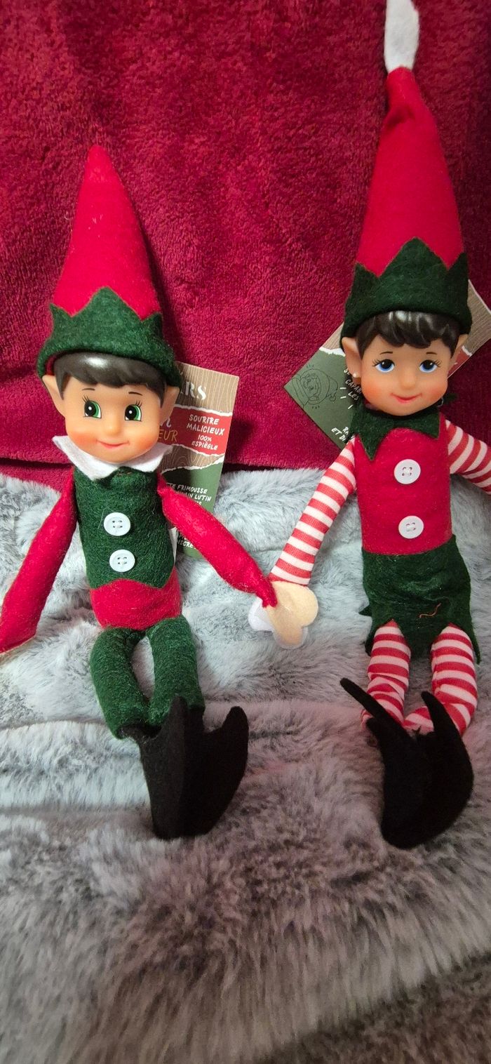 Duo lutins farceurs - photo numéro 2