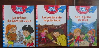 Lot de 3 livres HACHETTE pour les CE2 de Sami et Julie