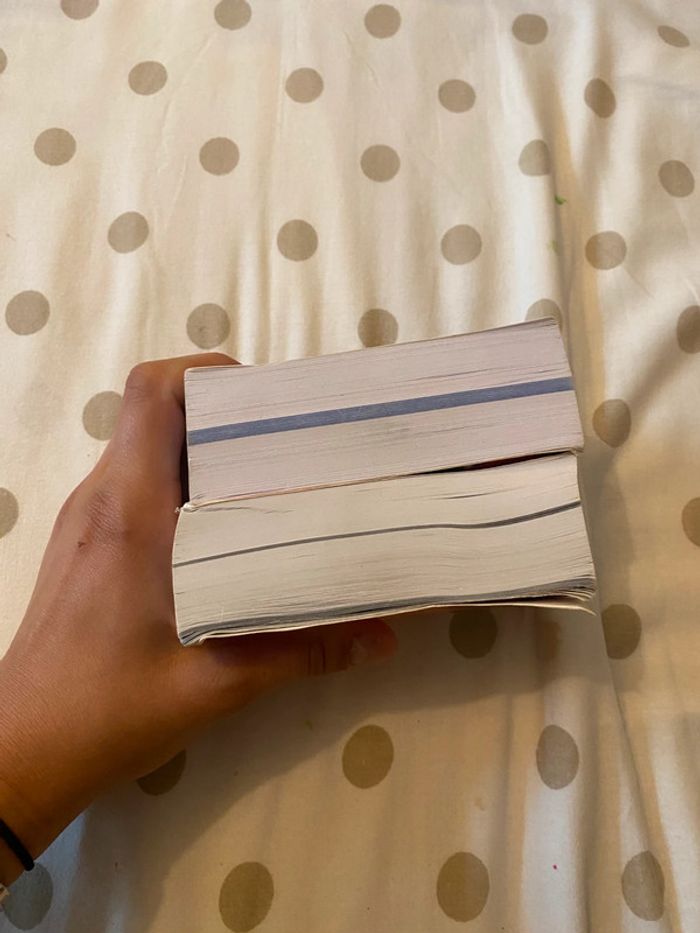 lot de deux dictionnaires espagnol et anglais - photo numéro 8
