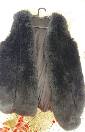 Veste en fourrure ans manche