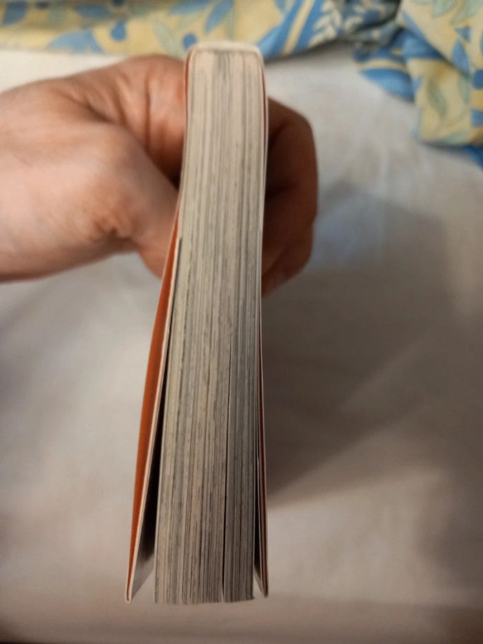 Soul Eater Tome 1 - photo numéro 4