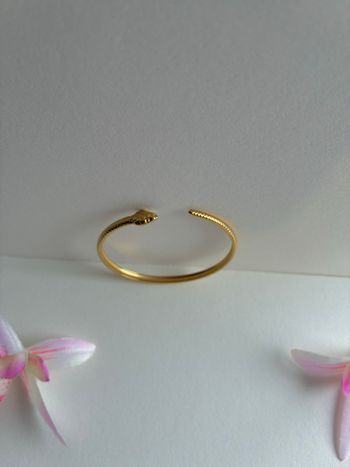 Bracelet serpent fins en acier inoxydable 316 L