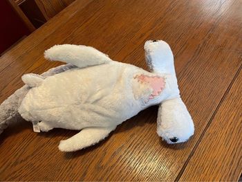 Peluche-1