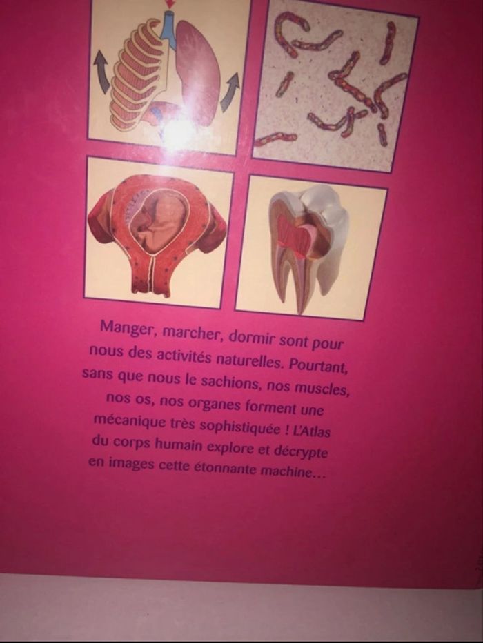 Livre 📖 Le corps humain Atlas des juniors 5€ - photo numéro 5