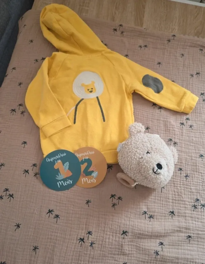 Veste à capuche zippée jaune Obaibi bébé mixte – Taille 12 mois - photo numéro 5