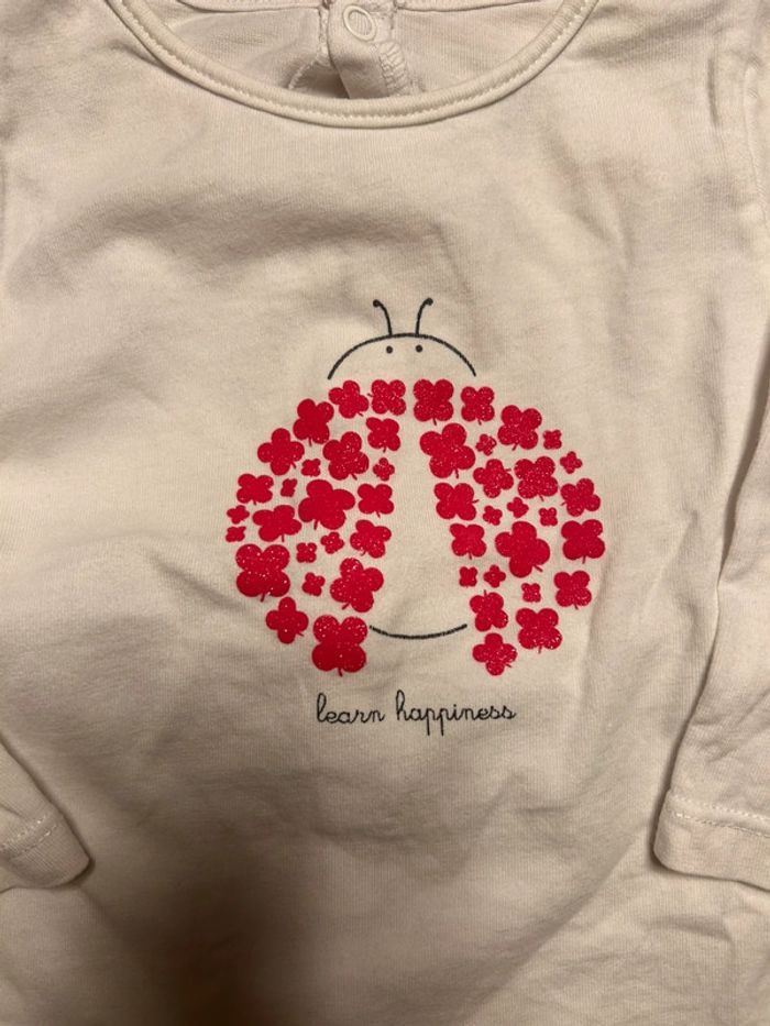 Ensemble Obaibi - photo numéro 2