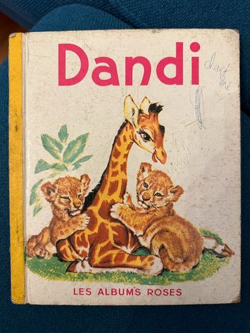 1964 Livre cartonné ancien Dandi la girafe lionceaux Pierre Probst auteur Caroline Hachette