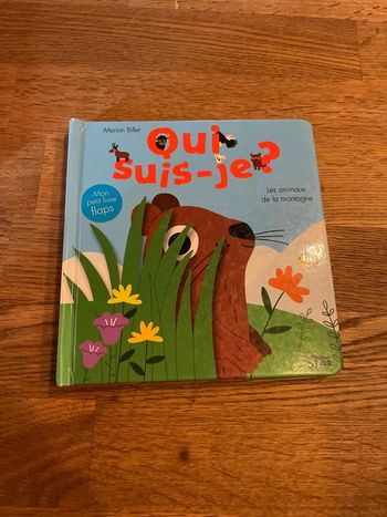 Livre cartonné a toucher Mon petit livre flaps Qui suis-je?