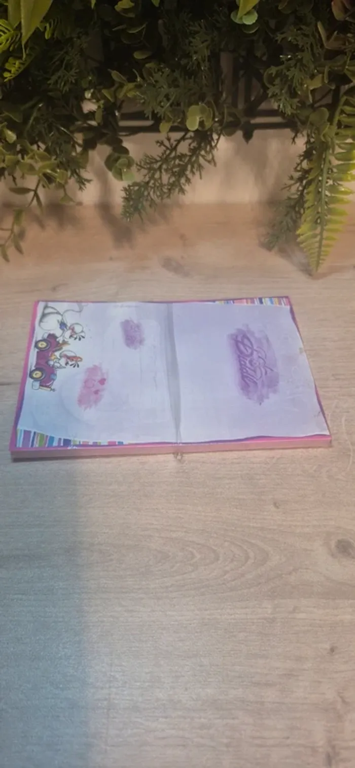 Carnet de feuilles diddl - photo numéro 3