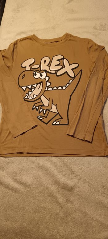 Haut dinosaure 8.10 ans