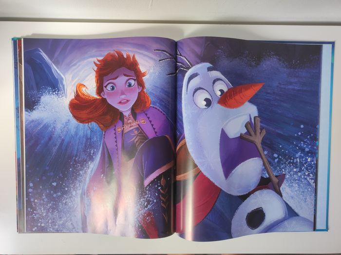 Livre la reine des neiges la grande histoire - photo numéro 3