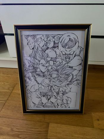 Cadre dragon ball