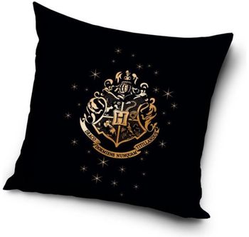 COUSSIN HARRY POTTER 40x40CM - NEUF