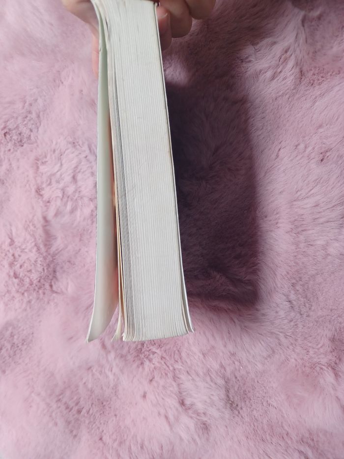 Livre roman: La reine solitaire - photo numéro 5