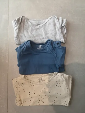 Bodies