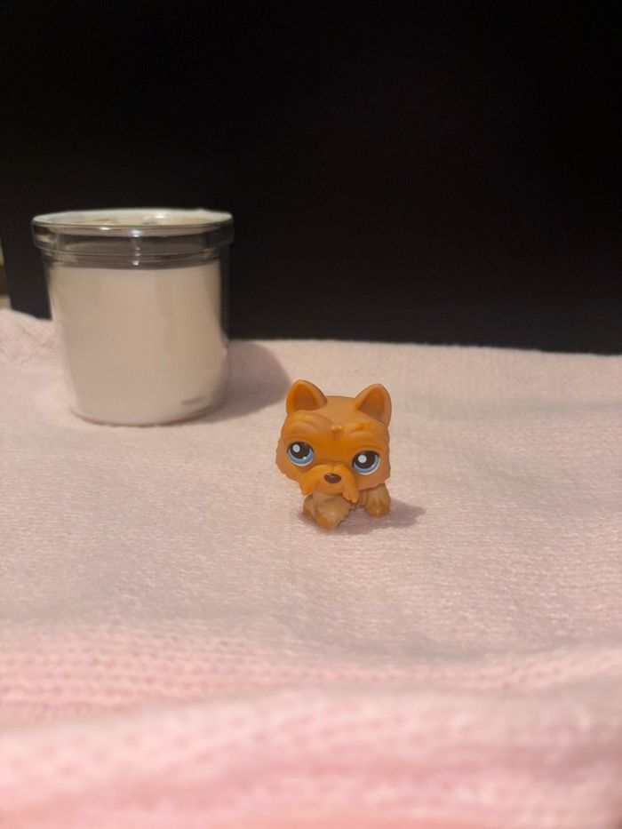 scottie #249 - photo numéro 2