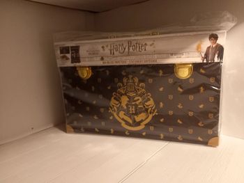 Harry Potter valisette papeterie
